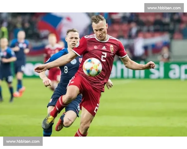 聚焦VS爱尔兰强强对话解析战术走势赛场看点前瞻解读状态球队